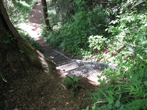 20140517hike (253)